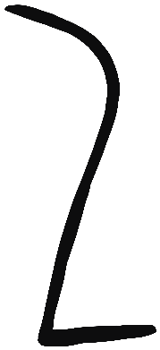 Image of the occurrence